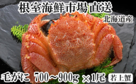 B-14130 ボイル毛がに700～900g×1尾(若上蟹)