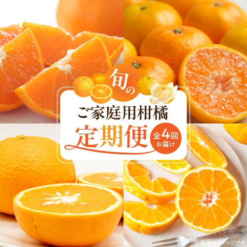 【発送月固定定期便】紀州和歌山産旬のご家庭用柑橘セット(みかん・不知火・せとか・清見)全4回 _G70-T01 2806705 - 和歌山県湯浅町