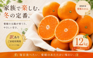 ＜訳あり 愛媛県産みかん 合計約12kg＞『2026年10月下旬～1月下旬迄に順次出荷予定』 ミカン 蜜柑 食感 甘い ご家庭用 果汁 果物 くだもの フルーツ みかん オレンジ 柑橘 人気柑橘 特産品 株式会社OSN 愛媛県 西予市 【常温】