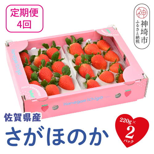 【先行受付 R9年1月より発送 農家直送】【4回定期便】さがほのか220g×2パック【いちご 苺 イチゴ 果物 フルーツ スイーツ デザート ふるさと納税】(H117103) 2806883 - 佐賀県神埼市