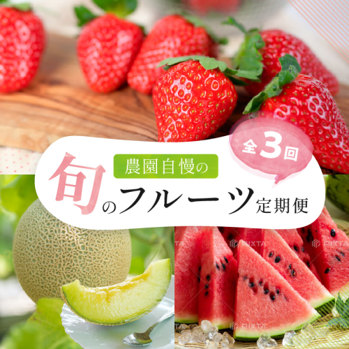 農園自慢の旬のフルーツ 定期便【配送不可地域：北海道・青森・秋田・岩手・沖縄・離島】 2806964 - 和歌山県御坊市