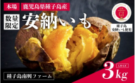 【先行予約】安納いも さつまいも 3kg （Lサイズ）【種子島南興ファーム】種子島 焼きいも 焼き芋 本場 安納芋  さつま芋 甘い ねっとり スイーツ おやつ グルメ お取り寄せ おせち 人気 種子島産 返礼品 南種子町 鹿児島 かごしま 【観光物産館トンミー市場】