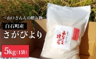 令和5年産 特別栽培米 さがびより 5kg 白米～山口さんちの贈り物～【y'scompany】 [IAS005]