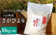 令和5年産 特別栽培米 さがびより 10kg 白米～山口さんちの贈り物～【y'scompany】 [IAS006]