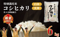 【R8年産新米】米 コシヒカリ 特別栽培米 6kg 令和8年産 8年産 新米 新潟県産 お米 白米 ご飯 精米 玄米 おにぎり 弁当 個包装 小分け プレゼント ギフト 贈答 のし 佐々木耕起 佐々木こうき 佐々木耕起組合 新潟県 新発田市 ssk003
