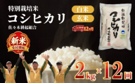 【新米 定期便】 12ヶ月 令和8年産 新潟県産 特別栽培米コシヒカリ 2kg × 12ヶ月 米 お米 ごはん 白米 コシヒカリ 佐々木耕起組合 プレゼント ギフト 贈答 定期便 特別栽培米 佐々木耕起 佐々木こうき 新潟県新発田市産 ssk008