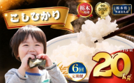 【令和8年産】定期便6回 コシヒカリ 20kg | 米 こめ 白米 精米 お米  栃木米 ブランド米 【栃木県共通返礼品 栃木県産】 栃木県 下野市 しもつけ市