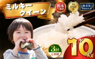 【令和8年産】定期便3回 ミルキークイーン 10kg | 米 こめ 白米 精米 お米  栃木米 ブランド米 【栃木県共通返礼品 栃木県産】 栃木県 下野市 しもつけ市