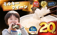 【令和8年産】定期便6回 ミルキークイーン 20kg | 米 こめ 白米 精米 お米  栃木米 ブランド米 【栃木県共通返礼品 栃木県産】 栃木県 下野市 しもつけ市