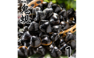 60MZ.東郷湖産鬼蜆〔おにしじみ〕1kg