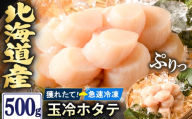 北海道産 ほたて 貝柱 玉冷 500g｜ホタテ 帆立 貝 貝柱 魚介 刺身 海鮮 冷凍 魚介類 海産物 北海道 八雲町