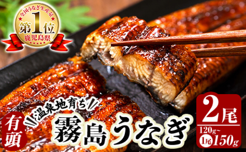 K-763 霧島うなぎ蒲焼き120～150g×2尾【田代水産】霧島市 鰻 ウナギ 蒲焼き 蒲焼 国産 2808959 - 鹿児島県霧島市