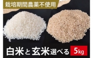 BI-59【栽培期間農薬不使用】こしひかり5kg　白米または玄米