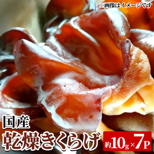 国産乾燥きくらげ(約10g×7P・計約70g) 国産 阿久根市産 きくらげ 木耳 キクラゲ 乾燥きくらげ 食物繊維 ビタミンD 【竹ん子山】akn097-19 2809015 - 鹿児島県阿久根市