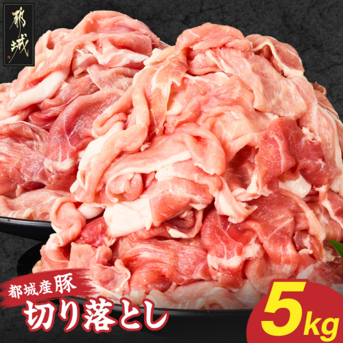都城産豚切り落とし5kg〔17-25-019〕 2809021 - 宮崎県都城市