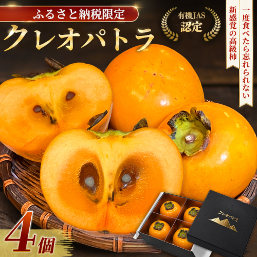 有機栽培 甘柿 「クレオパトラ」 4個 | 希少 国産 有機JAS認定 フルーツ 柿 高級 秋の味覚 ギフト 贈答 京都府舞鶴市 2809023 - 京都府舞鶴市