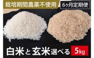 BI-65 6ヶ月定期便【栽培期間農薬不使用】白米または玄米　5kg×6回