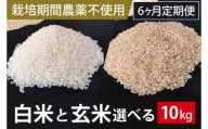 BI-69 6ヶ月定期便【栽培期間農薬不使用】白米または玄米　10kg×6回