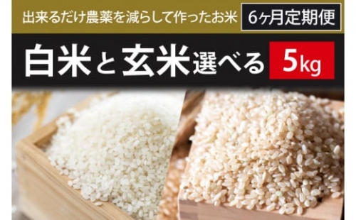 BI-78 6ヶ月定期便【できるだけ農薬を減らして作ったお米】白米または玄米　5kg×6回