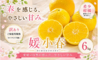＜訳あり 愛媛県産媛小春 合計約6kg＞『2027年1月下旬～3月下旬迄に順次出荷予定』 ひめこはる 希少種 甘い ご家庭用 果汁 果物 くだもの フルーツ みかん オレンジ 柑橘 人気柑橘 特産品 株式会社OSN 愛媛県 西予市 【常温】