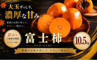 ＜訳あり 愛媛県産富士柿 合計約10.5kg＞『2026年11月上旬～12月下旬迄に順次出荷予定』かき 柿 ふじ柿 果物 くだもの フルーツ 旬 大玉 大きいサイズ 濃厚 秋の味覚 食べ応え抜群 特産品 株式会社OSN 愛媛県 西予市 【常温】