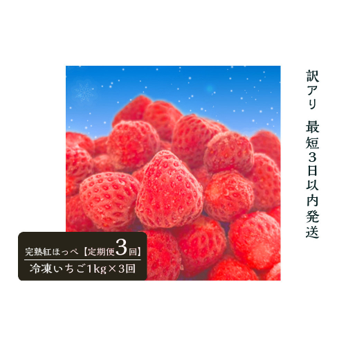 【訳アリ 定期便3回】静岡県産の完熟紅ほっぺを使用した冷凍いちご1kg×3回【静岡県産】 2809289 - 静岡県御前崎市