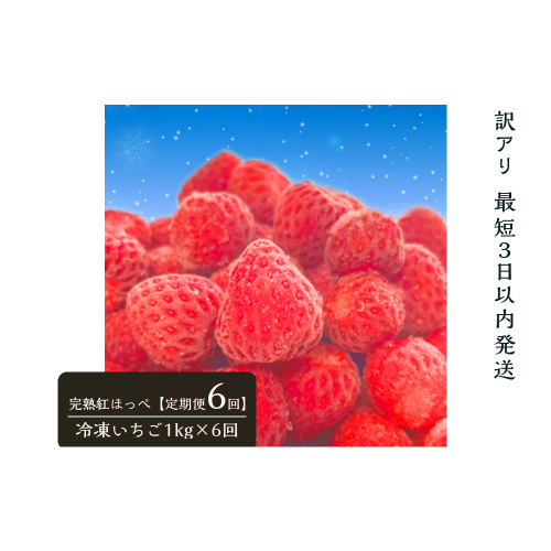 【訳アリ 定期便6回】静岡県産の完熟紅ほっぺを使用した冷凍いちご1kg×6回【静岡県産】 2809290 - 静岡県御前崎市