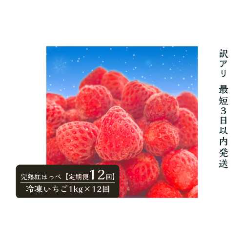 【訳アリ 定期便12回】静岡県産の完熟紅ほっぺを使用した冷凍いちご1kg×12回【静岡県産】 2809291 - 静岡県御前崎市