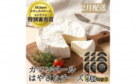 カマンベール チーズ 110g 9個 セット 計990g / 0.99kg 北海道　小分け 個包装 白カビ コンテスト受賞 おつまみ ワイン 夢民舎 はやきた 安平町 チーズ【2027年2月配送】