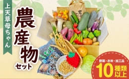 【ふるさと納税】上天草母ちゃん農産物セット 野菜・お米・加工品10種類以上！