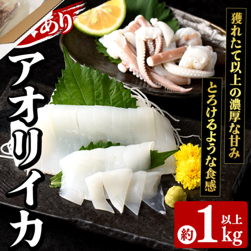 訳あり！アオリイカ(約1kg以上・2～3杯) 鹿児島県 阿久根市 いか イカ 烏賊 魚介 海鮮 海産物 冷凍 お刺身 お造り 真空パック 新鮮 おつまみ 晩酌 酒の肴 【さるがく水産】akn028-54 2809454 - 鹿児島県阿久根市