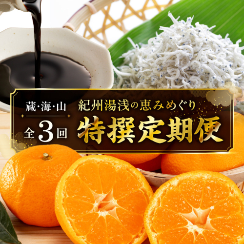 紀州湯浅の恵みめぐり 蔵・海・山の特撰定期便（全3回） _YAS60-T04 2809472 - 和歌山県湯浅町