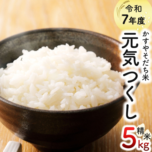 令和7年産 かすやそだち米「元気つくし」精米 5kg｜福岡県産 ブランド米 白米 お取り寄せ ごはん 人気 高評価 九州米【KN003】 2809488 - 福岡県篠栗町