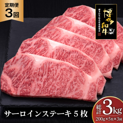 肉 博多和牛 サーロインステーキ 200g 5枚 計 1kg 3回 定期便 総計 3kg [久田精肉店 福岡県 宇美町 um40bsi440020] 牛 牛肉 サーロイン ステーキ 和牛 ソース ソース付き 福岡県産 冷凍 2809689 - 福岡県宇美町