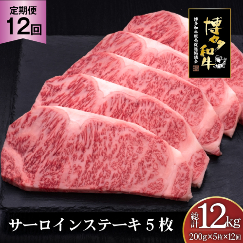 肉 博多和牛 サーロインステーキ 200g 5枚 計 1kg 12回 定期便 総計 12kg [久田精肉店 福岡県 宇美町 um40bsi440023] 牛 牛肉 サーロイン ステーキ 和牛 ソース ソース付き 福岡県産 冷凍 2809773 - 福岡県宇美町