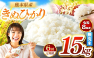 【定期便6回】R8年産 無洗米 きぬひかり 15kg | お米 米 こめ おこめ 精米 キヌヒカリ 15キロ 国産 国産米 くまもと 熊本 熊本県 玉名市 玉名