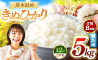 【定期便12回】R8年産 無洗米 きぬひかり 5kg | お米 米 こめ おこめ 精米 キヌヒカリ 5キロ 国産 国産米 くまもと 熊本 熊本県 玉名市 玉名