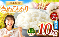 【定期便12回】R8年産 無洗米 きぬひかり 10kg | お米 米 こめ おこめ 精米 キヌヒカリ 10キロ 国産 国産米 くまもと 熊本 熊本県 玉名市 玉名