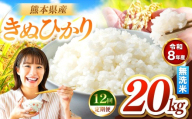 【定期便12回】R8年産 無洗米 きぬひかり 20kg | お米 米 こめ おこめ 精米 キヌヒカリ 20キロ 国産 国産米 くまもと 熊本 熊本県 玉名市 玉名