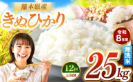 【定期便12回】R8年産 無洗米 きぬひかり 25kg | お米 米 こめ おこめ 精米 キヌヒカリ 25キロ 国産 国産米 くまもと 熊本 熊本県 玉名市 玉名