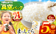 新米 鮮度を保ちやすい 真空パック ！【 6回定期便 】まっしぐら 白米5kg | 米 おこめ お米 こめ コメ ごはん ご飯 白飯 ゴハン 白米 精米 特産 ブランド米 ライス 2026年産 令和8年度産 仕送り 国産 産地直送 定期便 定期 あっさり さっぱり 青森の旨い米グランプリ 最優秀賞 獲得 水稲 宝精米所 青森県 六戸町