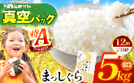 新米 鮮度を保ちやすい 真空パック ！【 12回定期便 】まっしぐら 白米5kg | 米 おこめ お米 こめ コメ ごはん ご飯 白飯 ゴハン 白米 精米 特産 ブランド米 ライス 2026年産 令和8年度産 仕送り 国産 産地直送 定期便 定期 あっさり さっぱり 青森の旨い米グランプリ 最優秀賞 獲得 水稲 宝精米所 青森県 六戸町