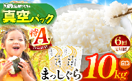新米 鮮度を保ちやすい 真空パック ！【 6回定期便 】まっしぐら 白米10kg | 米 おこめ お米 こめ コメ ごはん ご飯 白飯 ゴハン 白米 精米 特産 ブランド米 ライス 2026年産 令和8年度産 仕送り 国産 産地直送 定期便 定期 あっさり さっぱり 青森の旨い米グランプリ 最優秀賞 獲得 水稲 宝精米所 青森県 六戸町