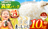 新米 鮮度を保ちやすい 真空パック ！【 12回定期便 】まっしぐら 白米10kg | 米 おこめ お米 こめ コメ ごはん ご飯 白飯 ゴハン 白米 精米 特産 ブランド米 ライス 2026年産 令和8年度産 仕送り 国産 産地直送 定期便 定期 あっさり さっぱり 青森の旨い米グランプリ 最優秀賞 獲得 水稲 宝精米所 青森県 六戸町