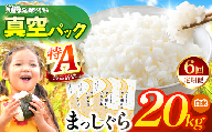 新米 鮮度を保ちやすい 真空パック ！【 6回定期便 】まっしぐら 白米20kg | 米 おこめ お米 こめ コメ ごはん ご飯 白飯 ゴハン 白米 精米 特産 ブランド米 ライス 2026年産 令和8年度産 仕送り 国産 産地直送 定期便 定期 あっさり さっぱり 青森の旨い米グランプリ 最優秀賞 獲得 水稲 宝精米所 青森県 六戸町