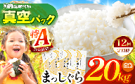 新米 鮮度を保ちやすい 真空パック ！【 12回定期便 】まっしぐら 白米20kg | 米 おこめ お米 こめ コメ ごはん ご飯 白飯 ゴハン 白米 精米 特産 ブランド米 ライス 2026年産 令和8年度産 仕送り 国産 産地直送 定期便 定期 あっさり さっぱり 青森の旨い米グランプリ 最優秀賞 獲得 水稲 宝精米所 青森県 六戸町