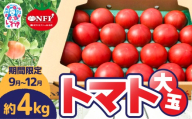 【9月～12月】トマト 大玉 約4kg | トマト 大玉トマト 4kg 国産 いわき市産 産地直送 肉厚 ジューシー 甘い 甘み 酸味 野菜 サラダ 料理 クッキング トマト料理 大玉 大容量 いわき市 | CM004-09-12