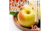 ＜甘みの強い黄色りんご＞ぐんま名月 10kg 1セット【1779853】