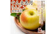 ＜甘みの強い黄色りんご＞ぐんま名月 5kg 1セット【1779910】