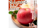 ＜ジューシーな甘さ＞サンつがる 10kg 1セット【1780246】